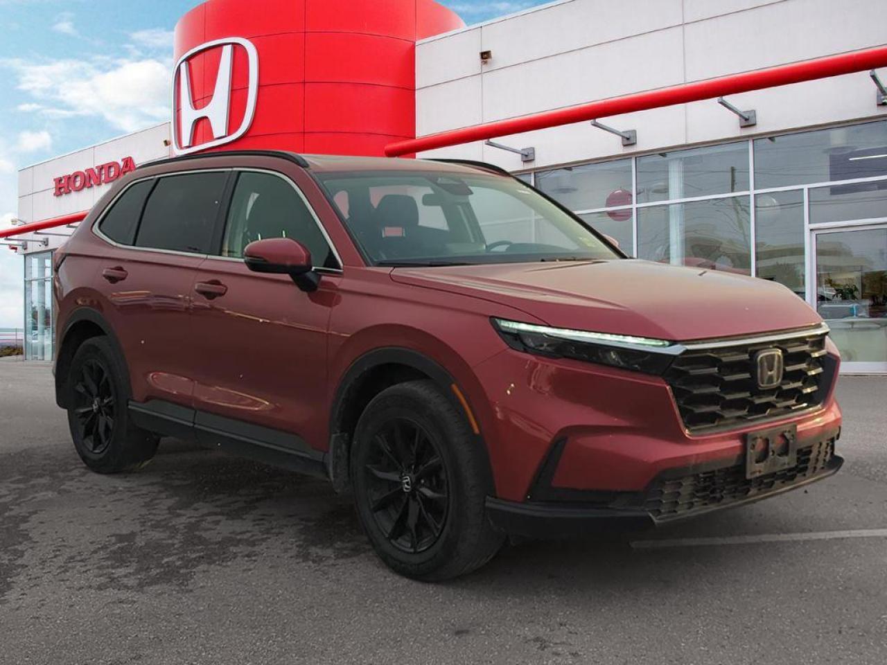 2024 Honda CR-V Sport Photo