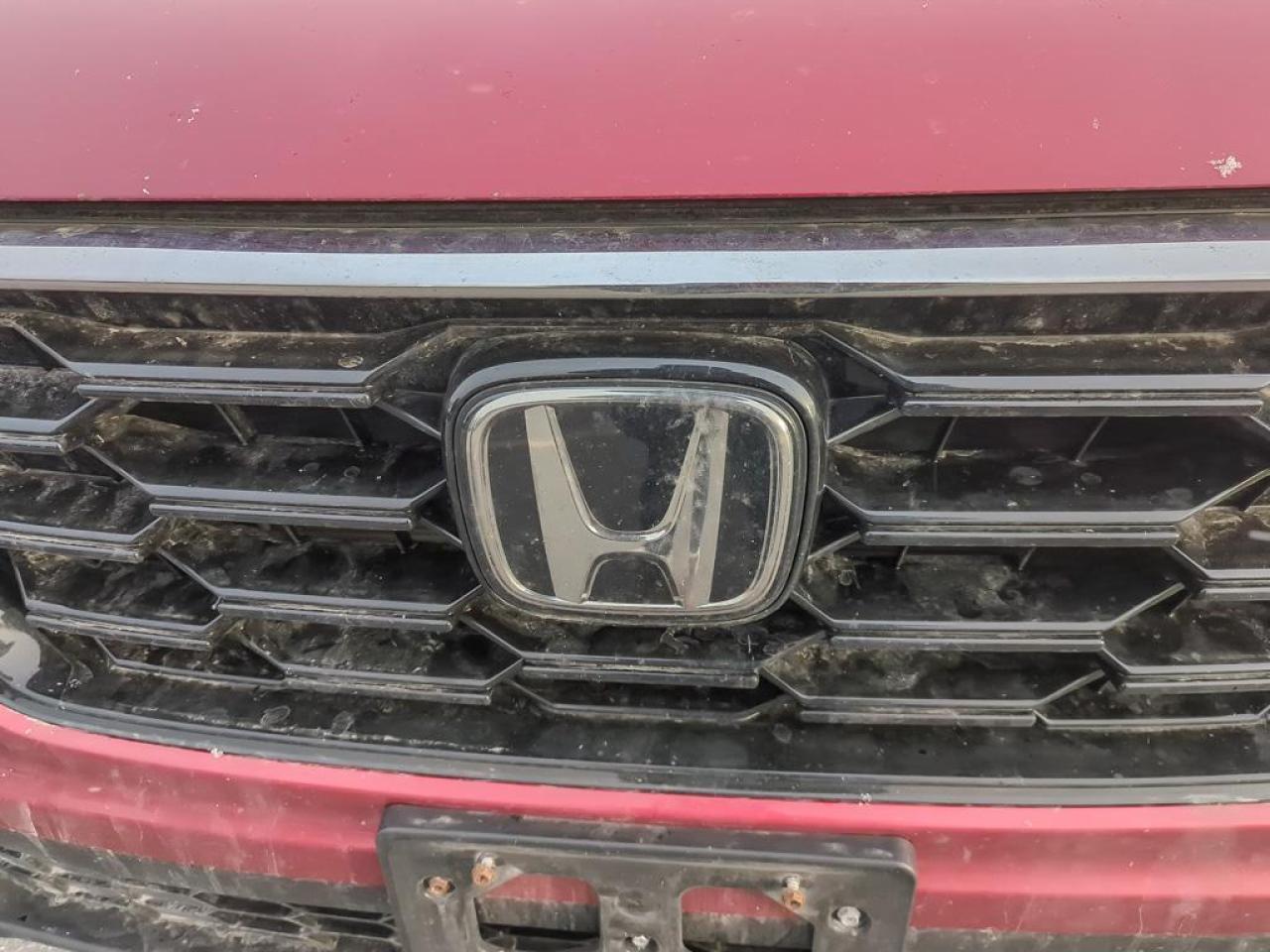 2024 Honda CR-V Sport Photo