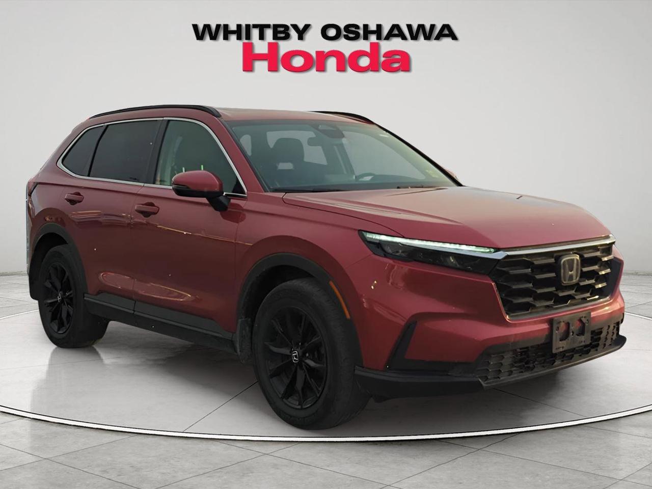 2024 Honda CR-V Sport l Power Moonroof l Heated Seats l Photo