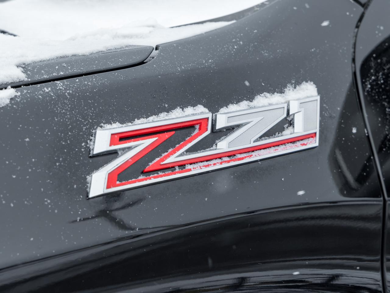 2024 Chevrolet Silverado 1500 4WD Crew Cab 147  LT Trail Boss Photo