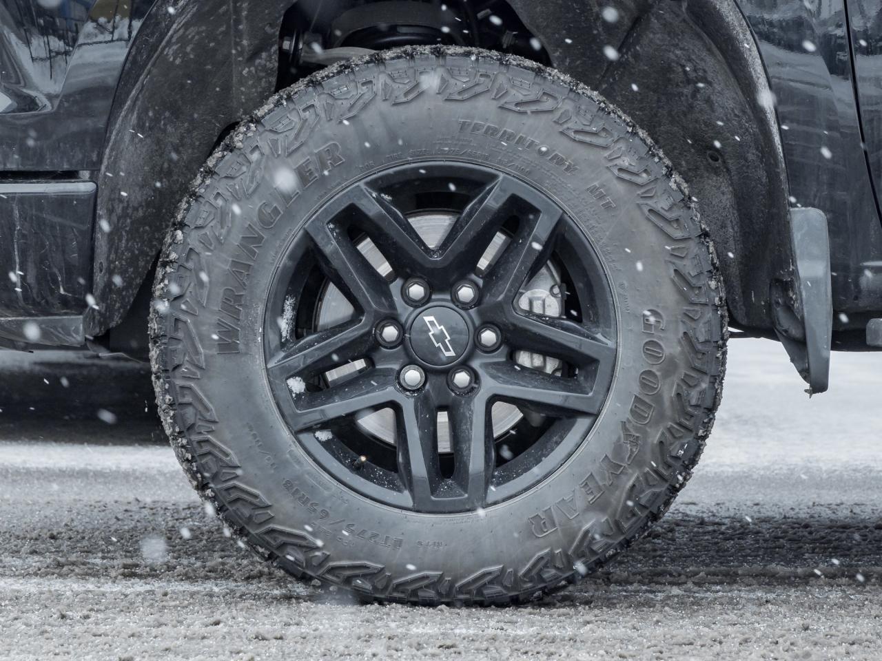 2024 Chevrolet Silverado 1500 4WD Crew Cab 147  LT Trail Boss Photo4