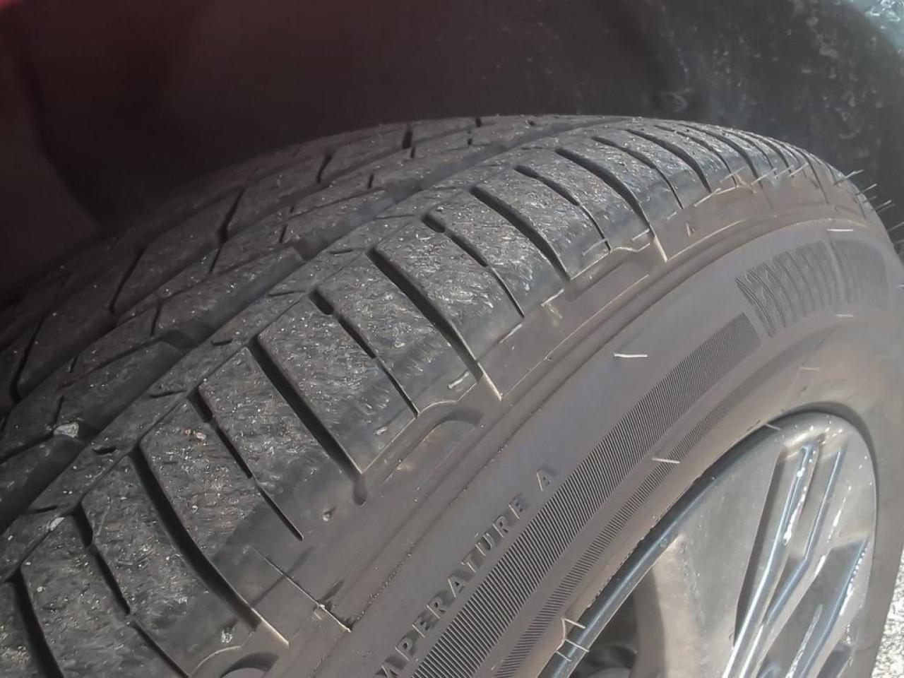 2025 Honda Odyssey Black Edition Photo