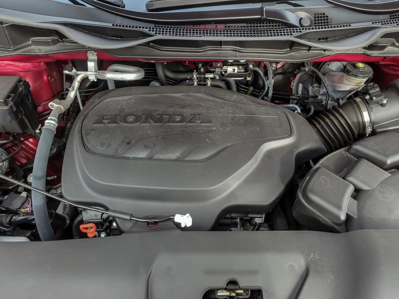 2025 Honda Odyssey Black Edition Photo