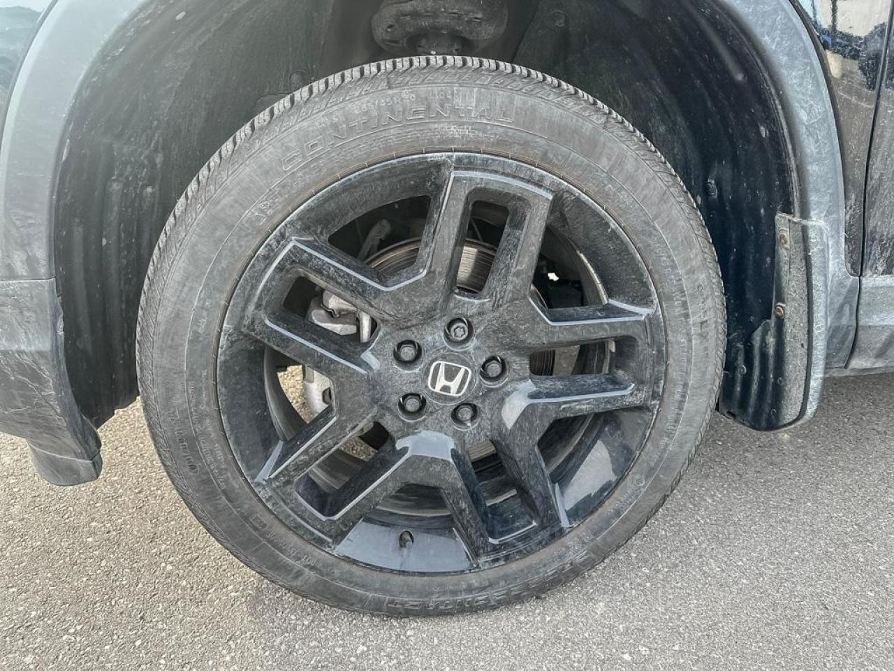 2025 Honda Passport Black Edition Photo