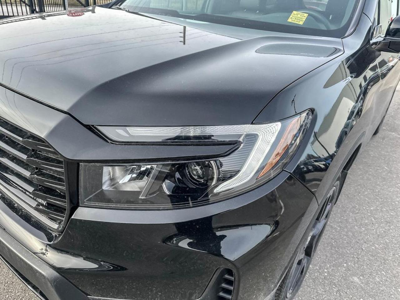 2025 Honda Passport Black Edition Photo