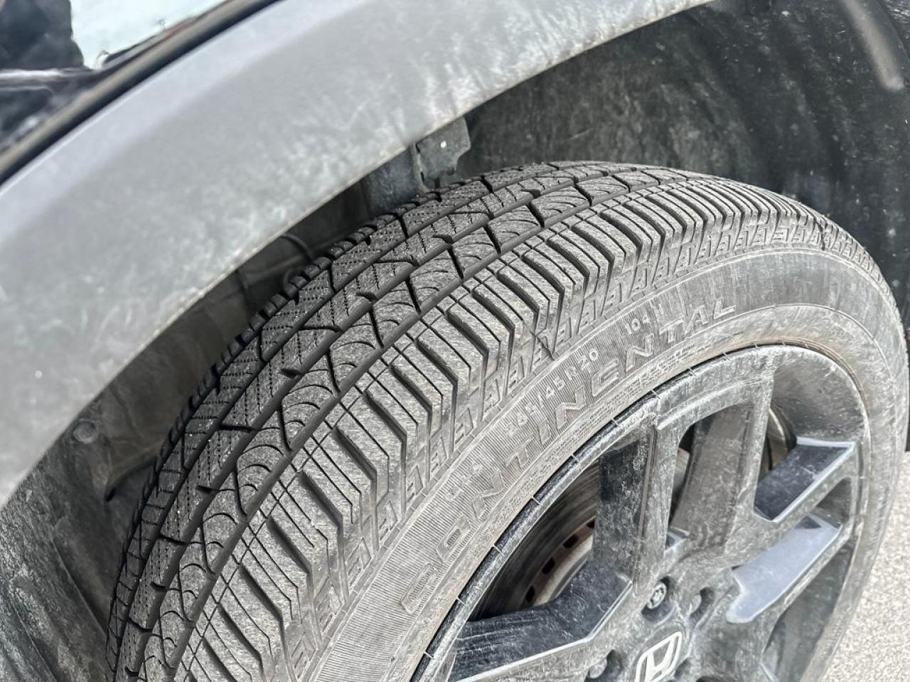 2025 Honda Passport Black Edition Photo