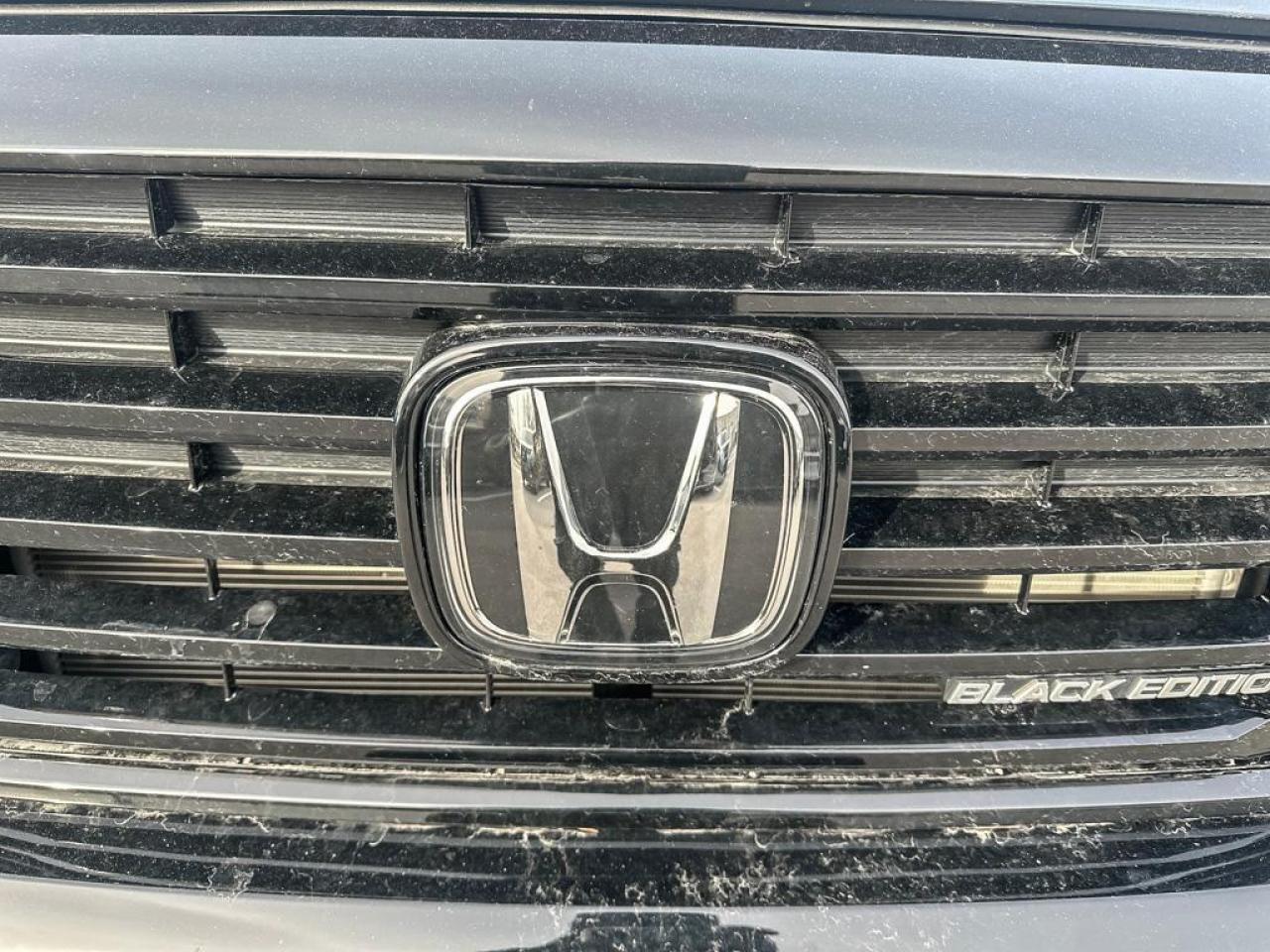 2025 Honda Passport Black Edition Photo