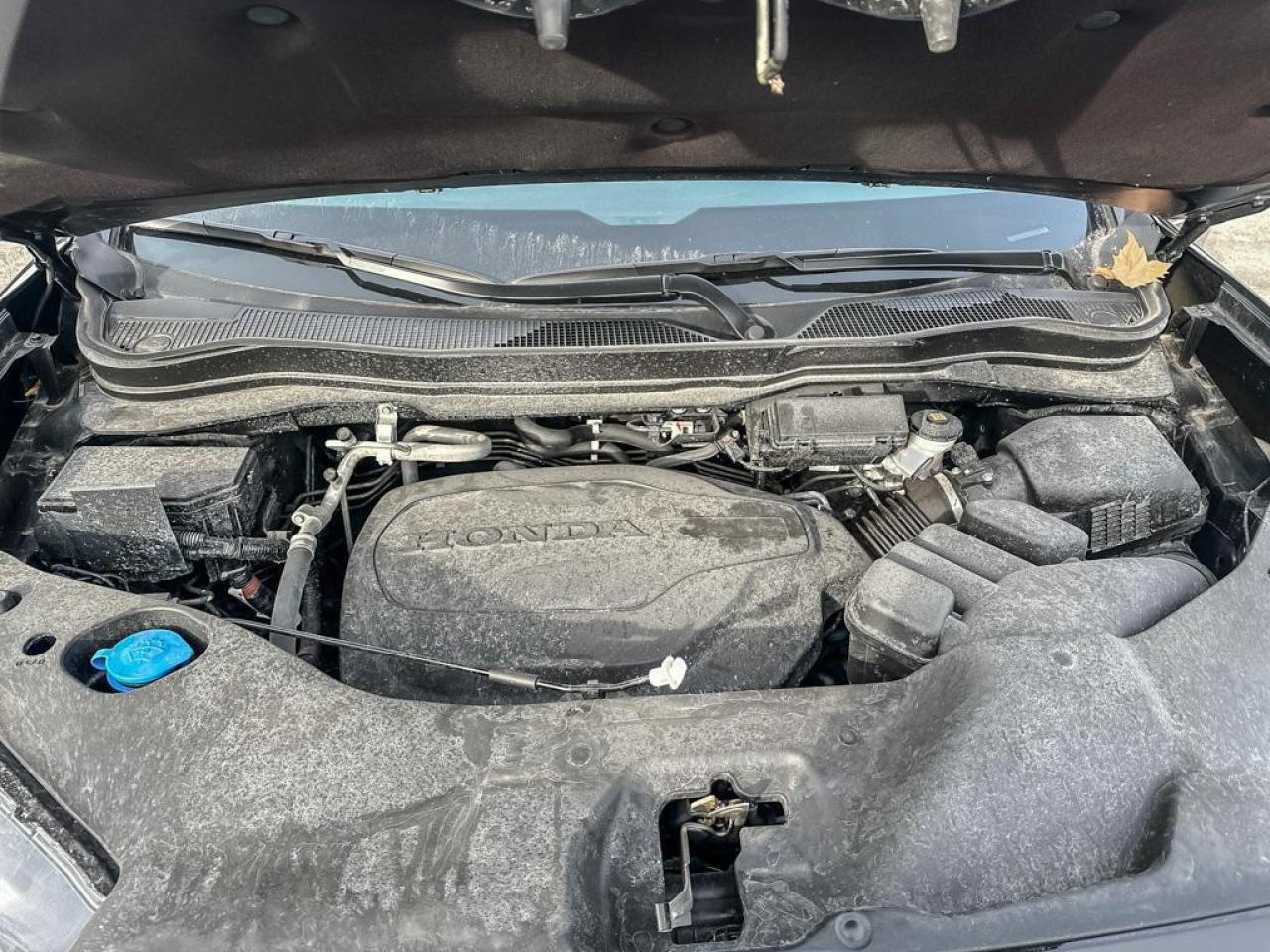 2025 Honda Passport Black Edition Photo