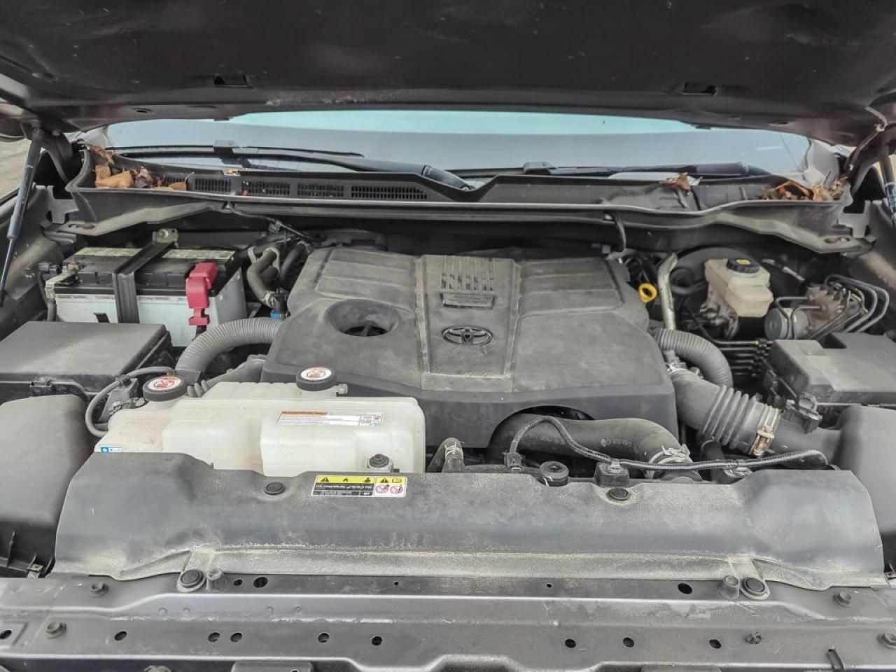 2022 Toyota Tundra SR Photo