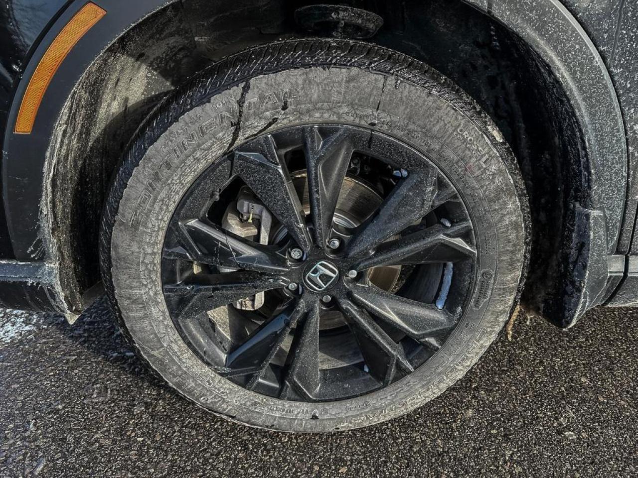 2025 Honda CR-V Hybrid Touring Photo