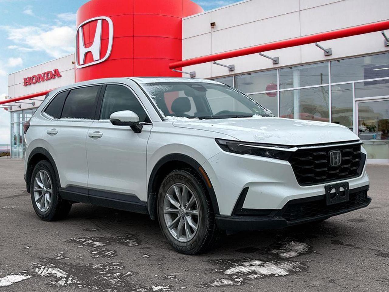 2024 Honda CR-V EX-L Photo