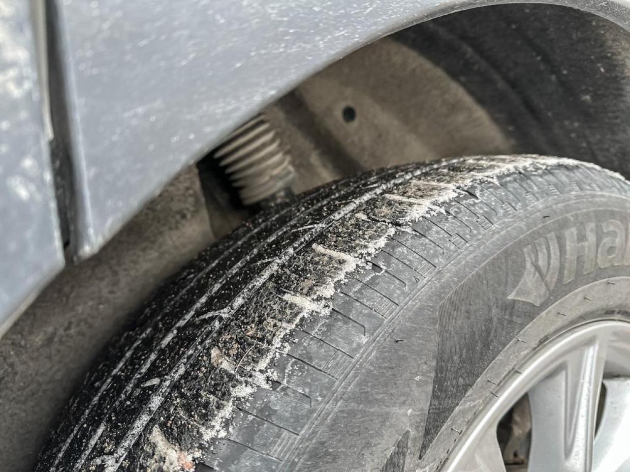 2024 Honda CR-V EX-L Photo