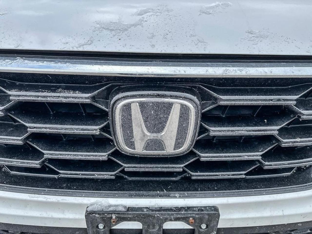 2024 Honda CR-V EX-L l Heated Seats l Power Moonroof Photo