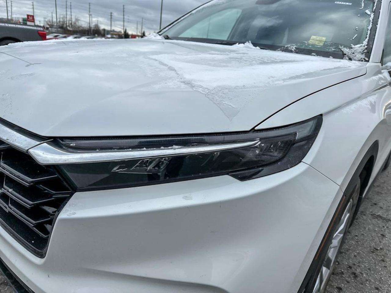 2024 Honda CR-V EX-L l Heated Seats l Power Moonroof Photo