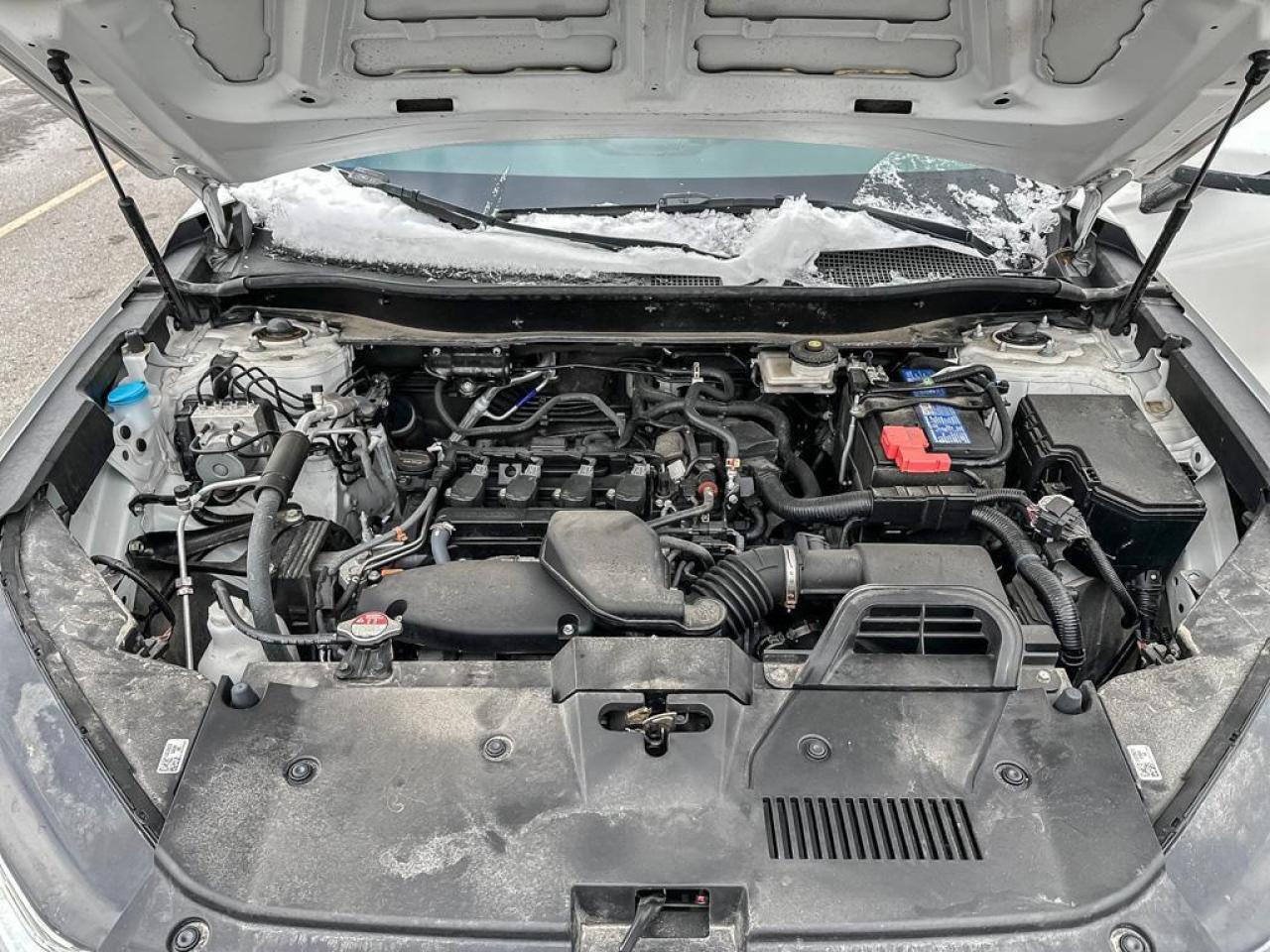 2024 Honda CR-V EX-L Photo