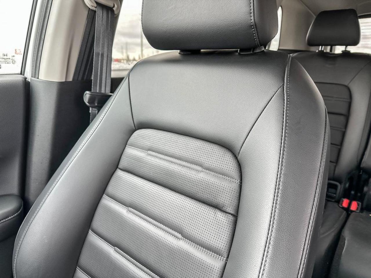 2024 Honda CR-V EX-L Photo