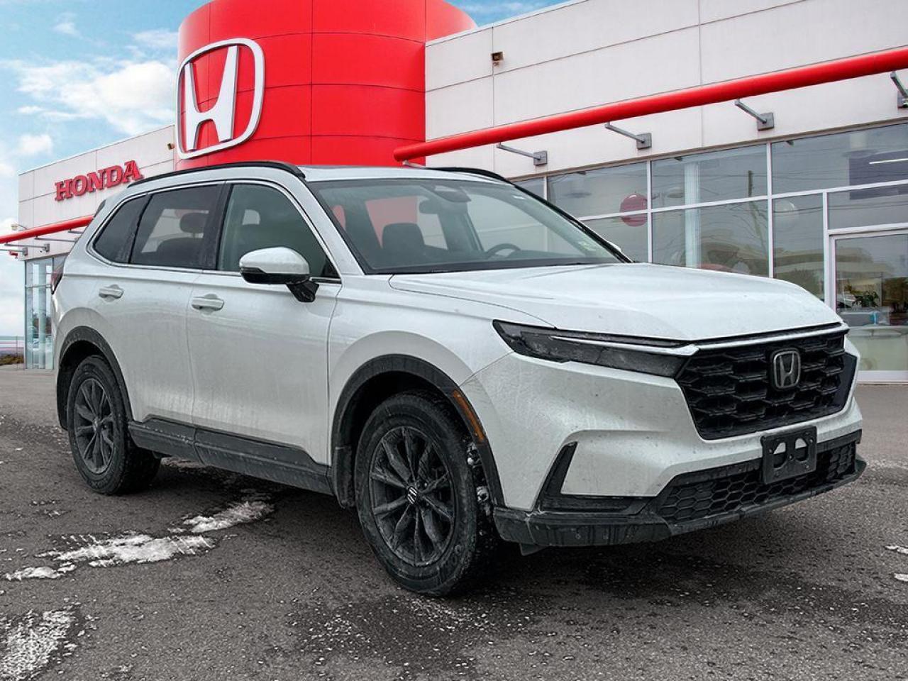 2025 Honda CR-V Sport Photo