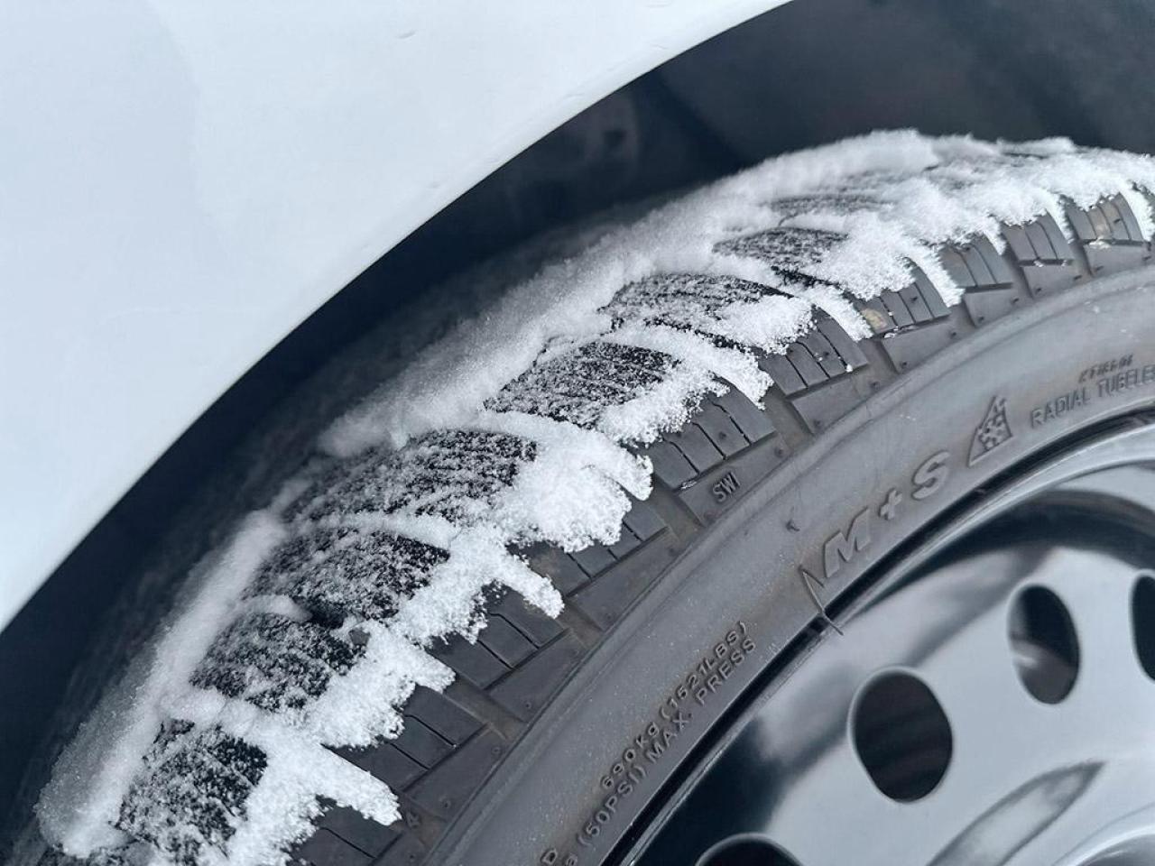 2023 Hyundai Elantra N LINE Photo