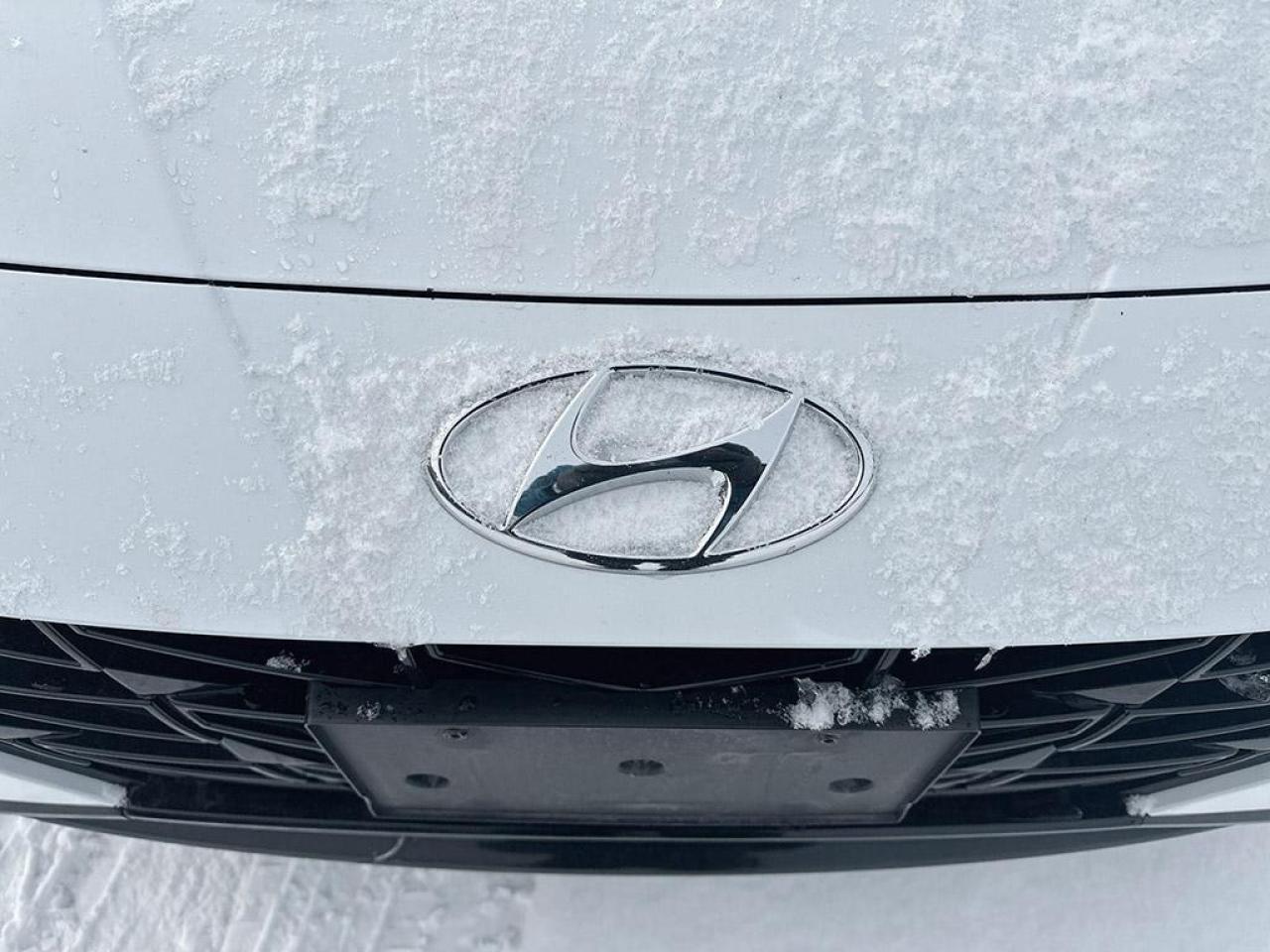 2023 Hyundai Elantra N LINE Photo