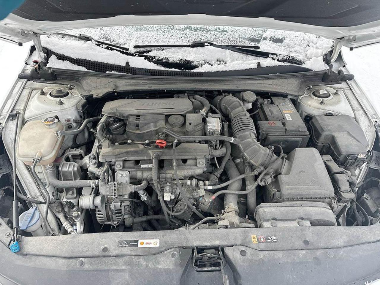 2023 Hyundai Elantra N LINE Photo