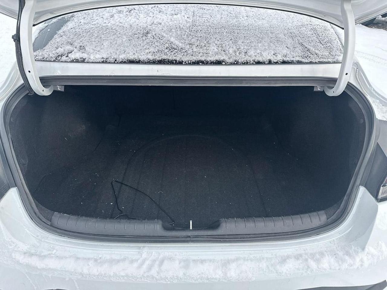 2023 Hyundai Elantra N LINE Photo