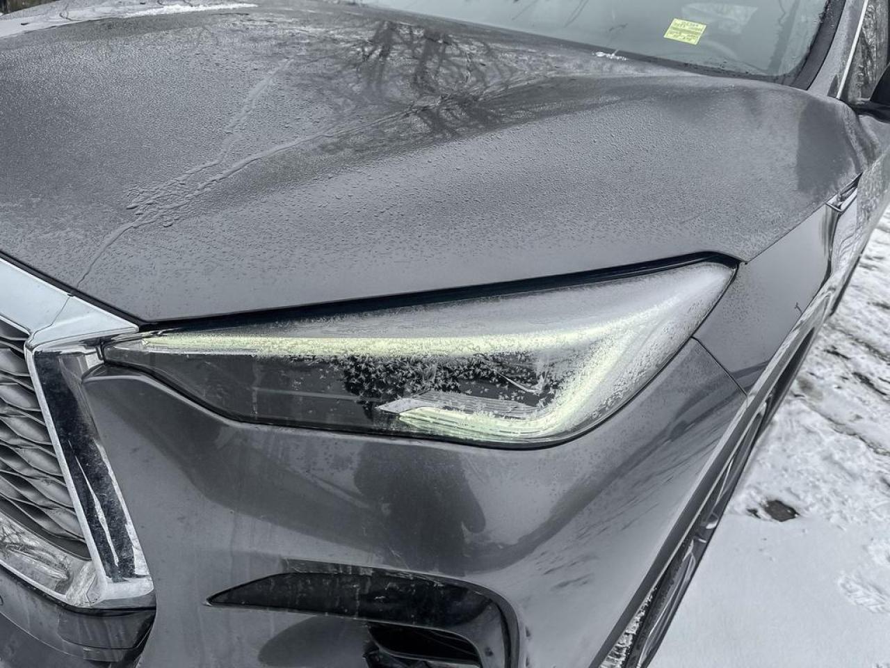 2023 Infiniti QX55 SENSORY Photo