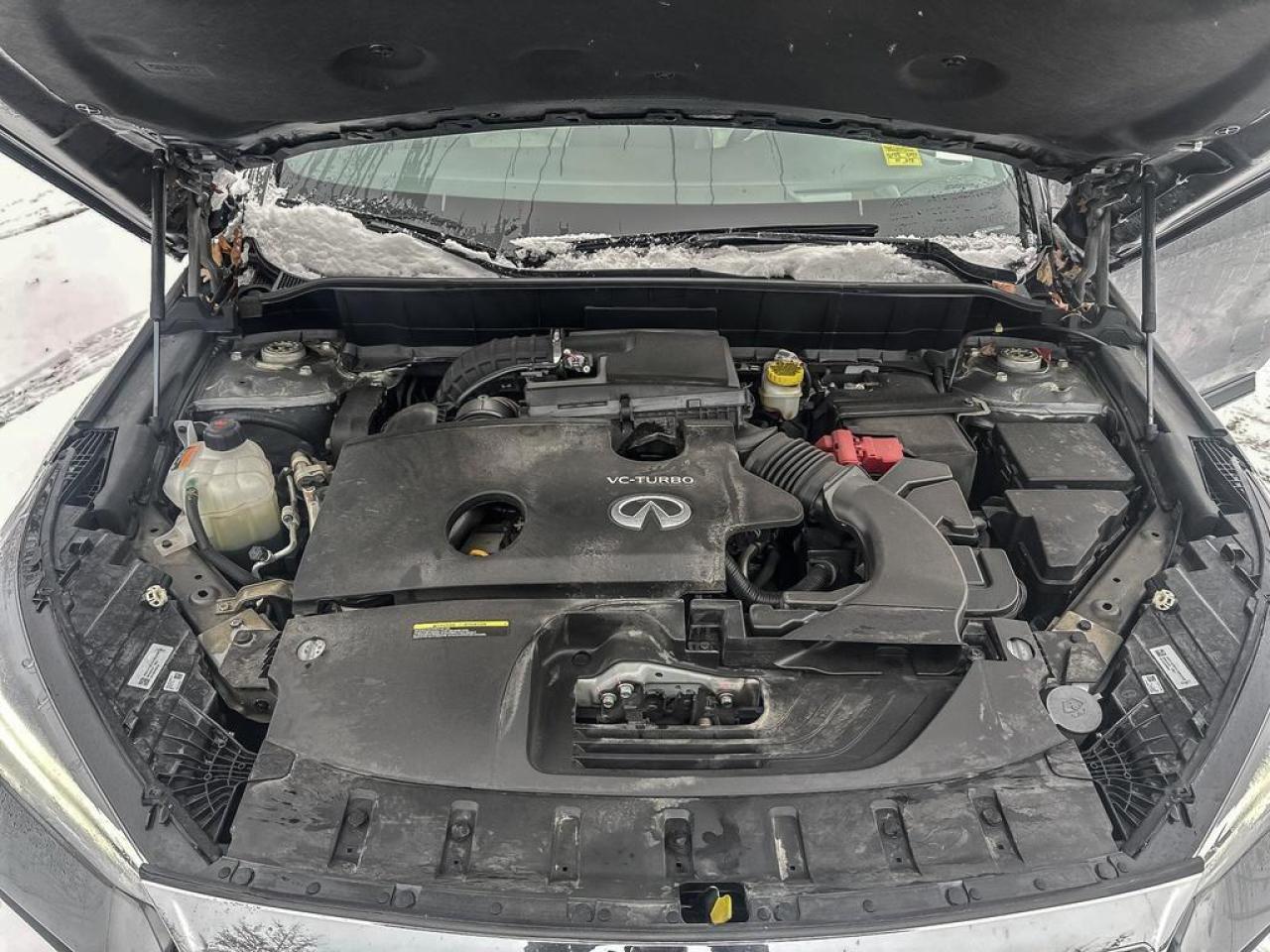 2023 Infiniti QX55 SENSORY Photo