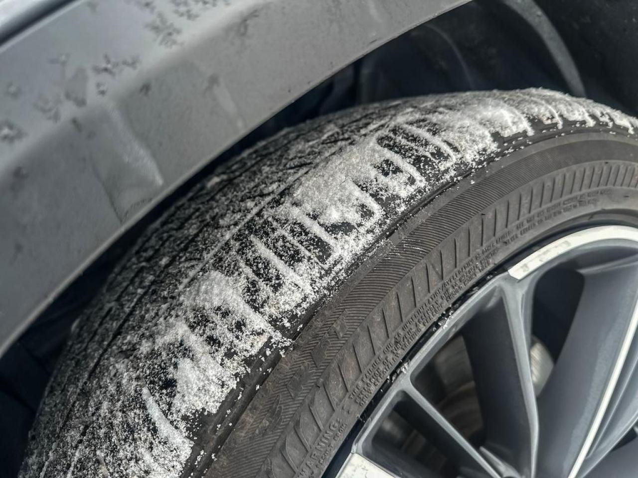 2023 Infiniti QX55 SENSORY Photo