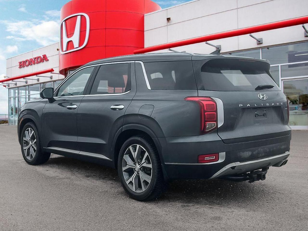 2020 Hyundai PALISADE LUXURY Photo