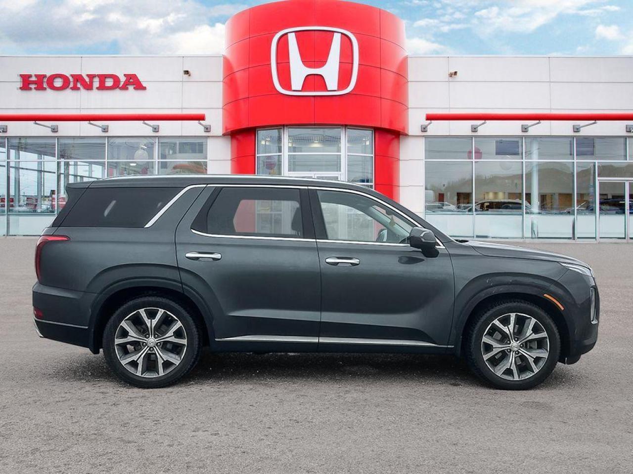 2020 Hyundai PALISADE LUXURY Photo