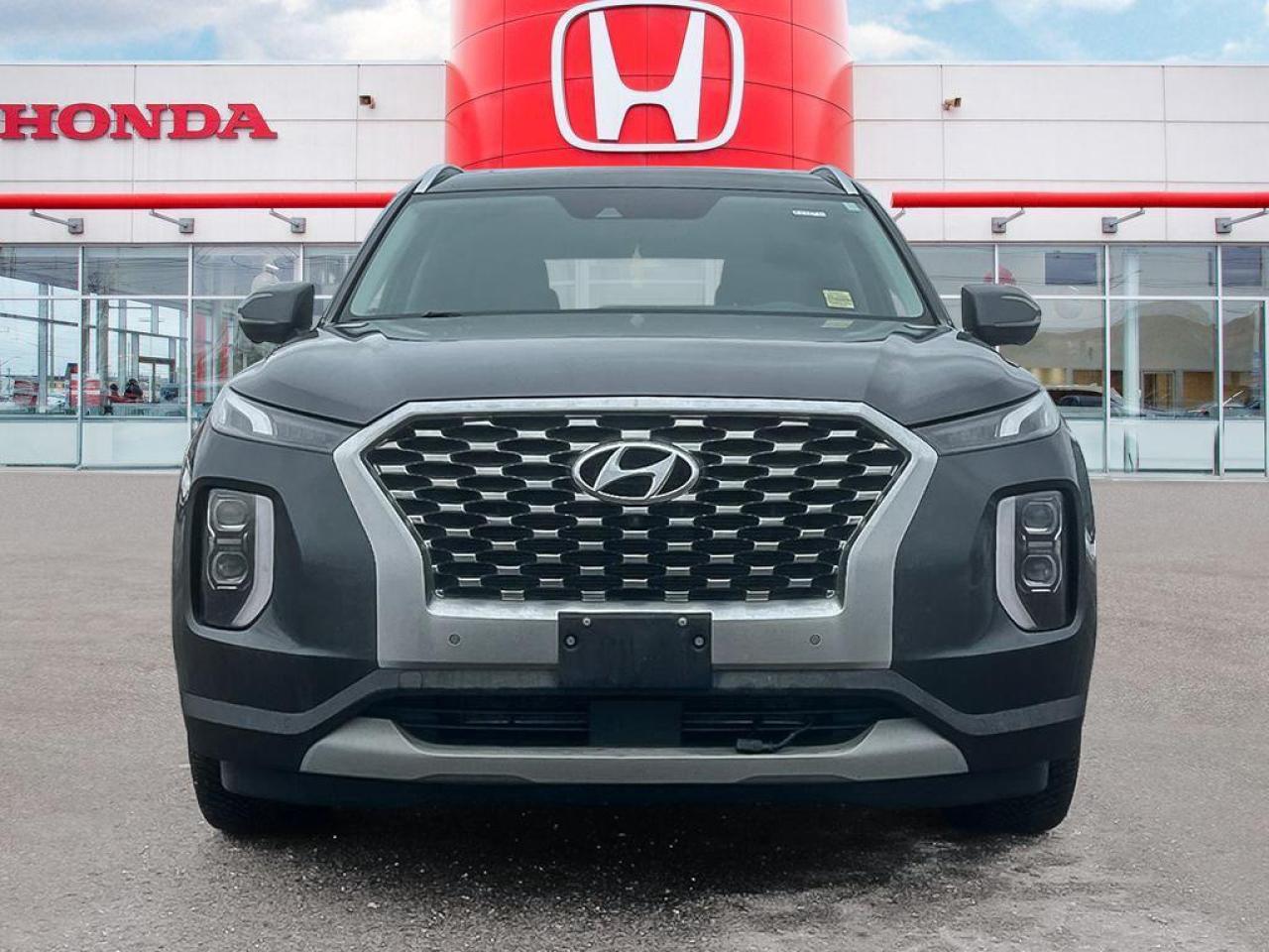 2020 Hyundai PALISADE LUXURY Photo