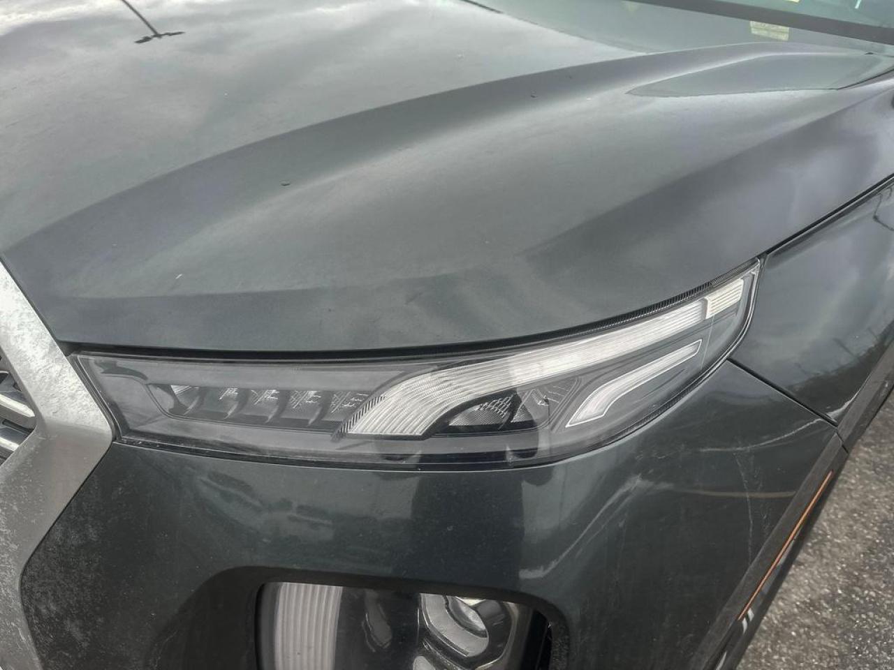 2020 Hyundai PALISADE LUXURY Photo