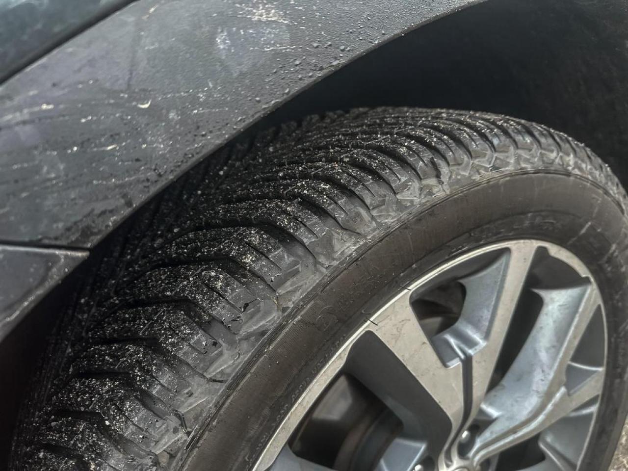 2020 Hyundai PALISADE LUXURY Photo