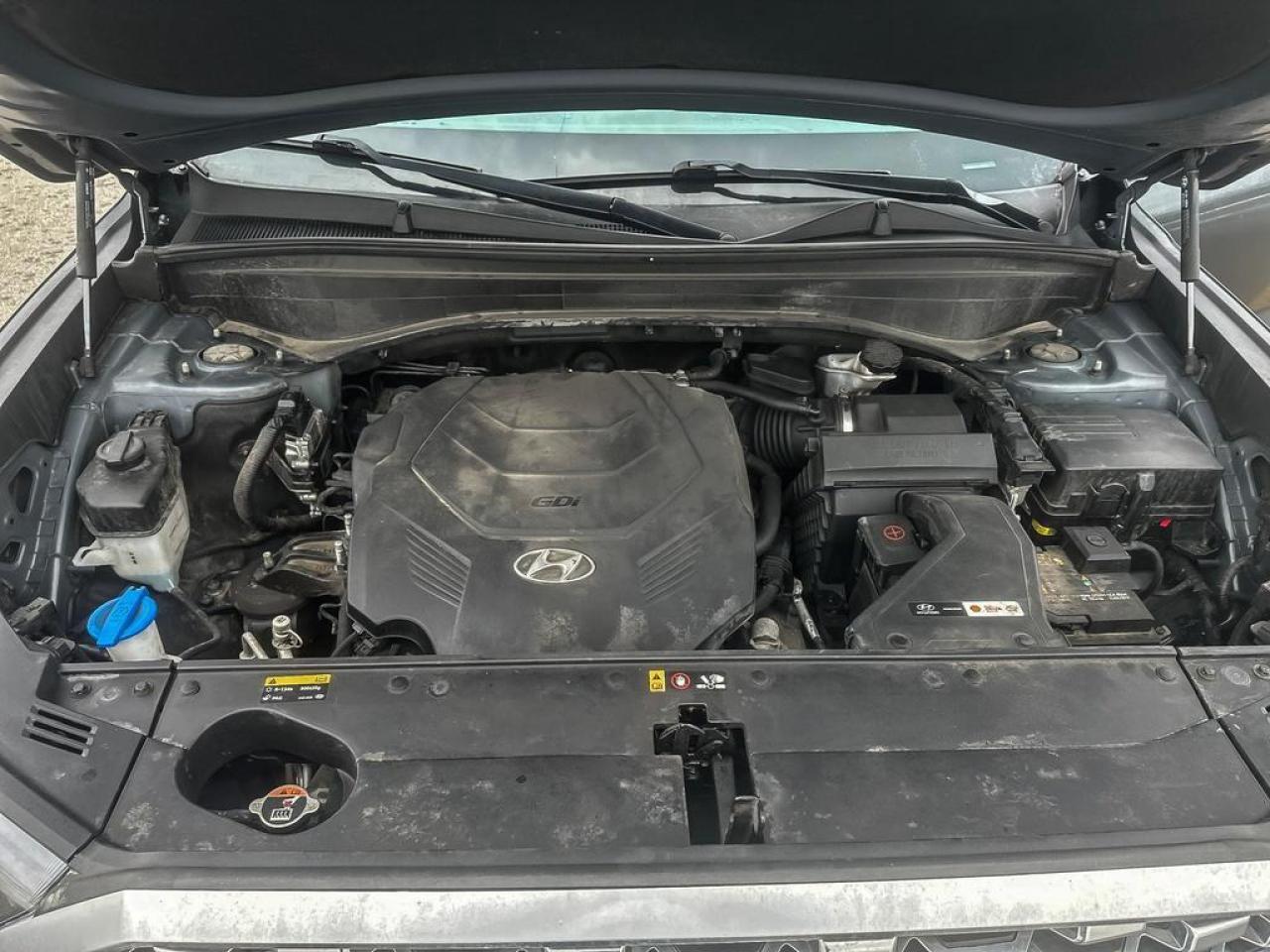 2020 Hyundai PALISADE LUXURY Photo