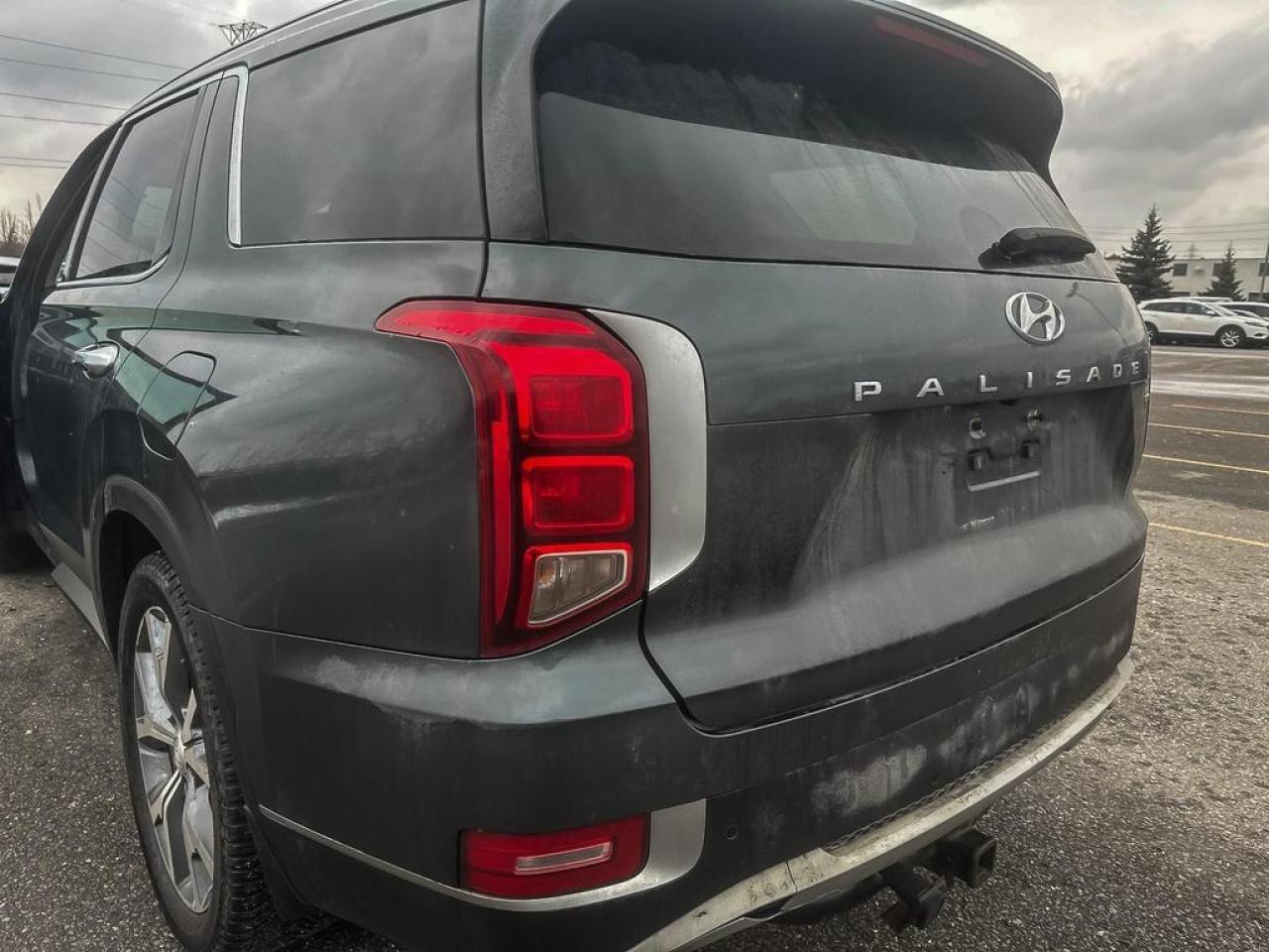 2020 Hyundai PALISADE LUXURY Photo