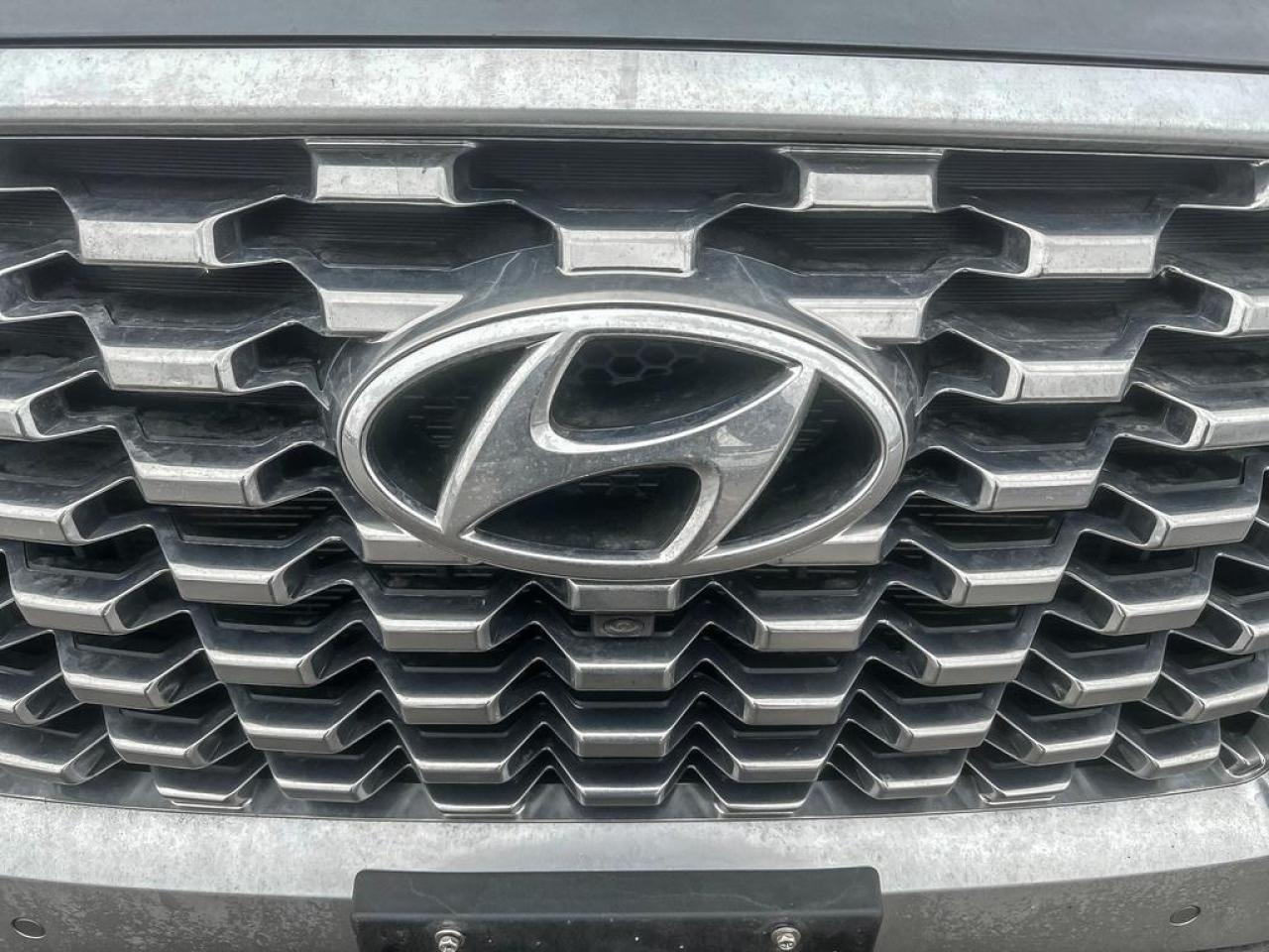 2020 Hyundai PALISADE LUXURY Photo