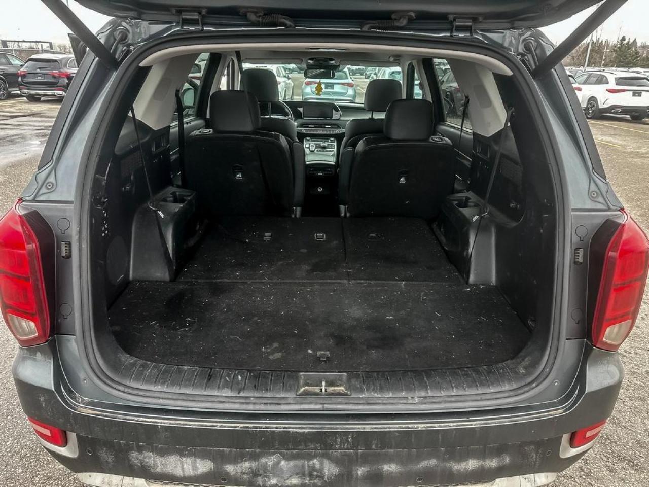 2020 Hyundai PALISADE LUXURY Photo