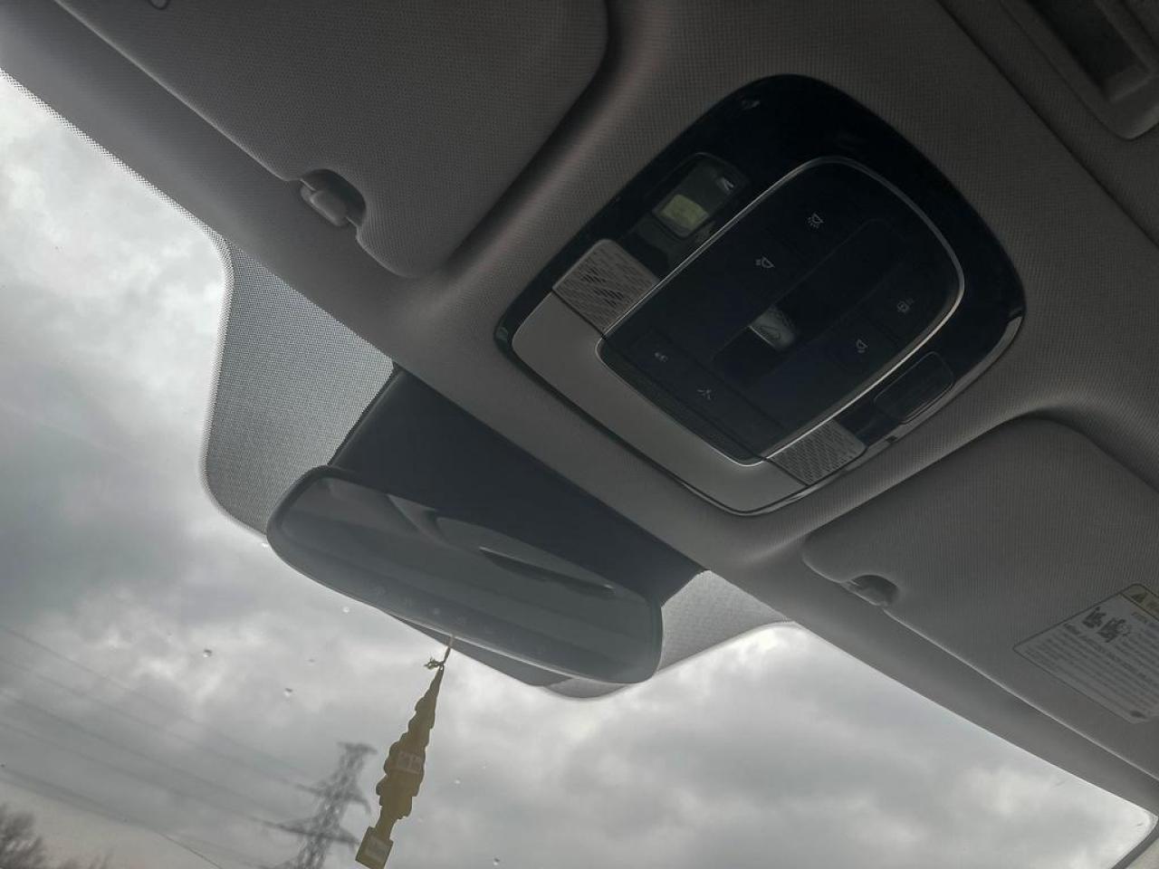 2020 Hyundai PALISADE LUXURY Photo