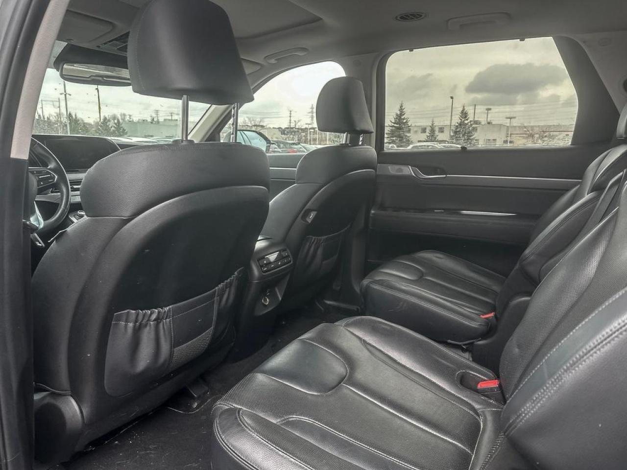 2020 Hyundai PALISADE LUXURY Photo