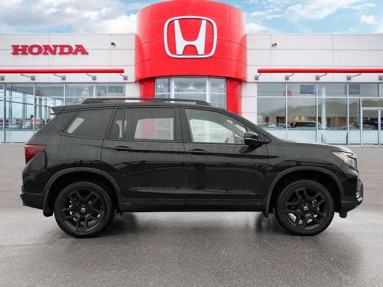 2024 Honda Passport Black Edition Photo