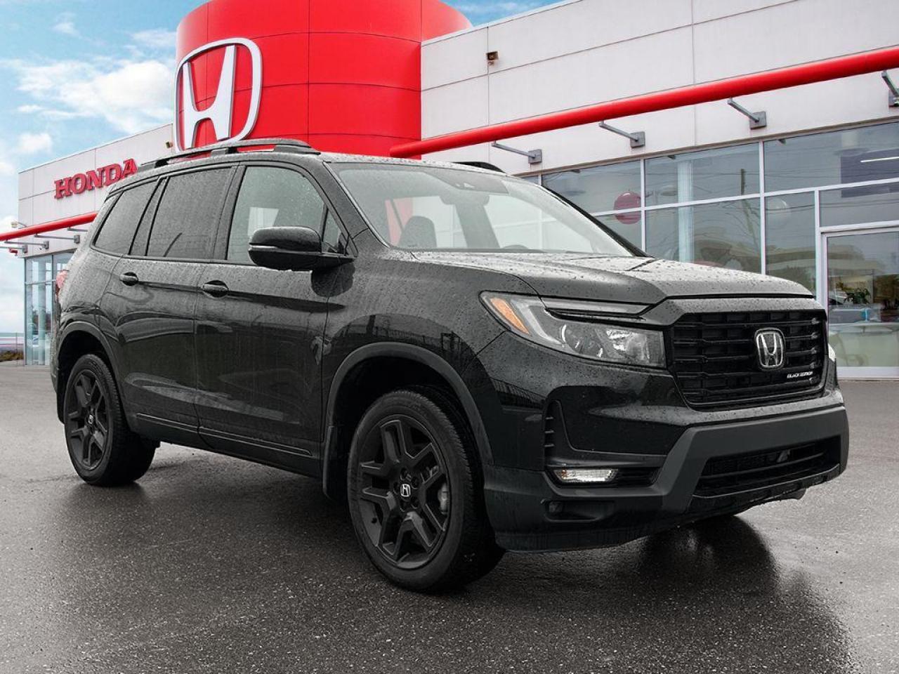 2024 Honda Passport Black Edition Photo