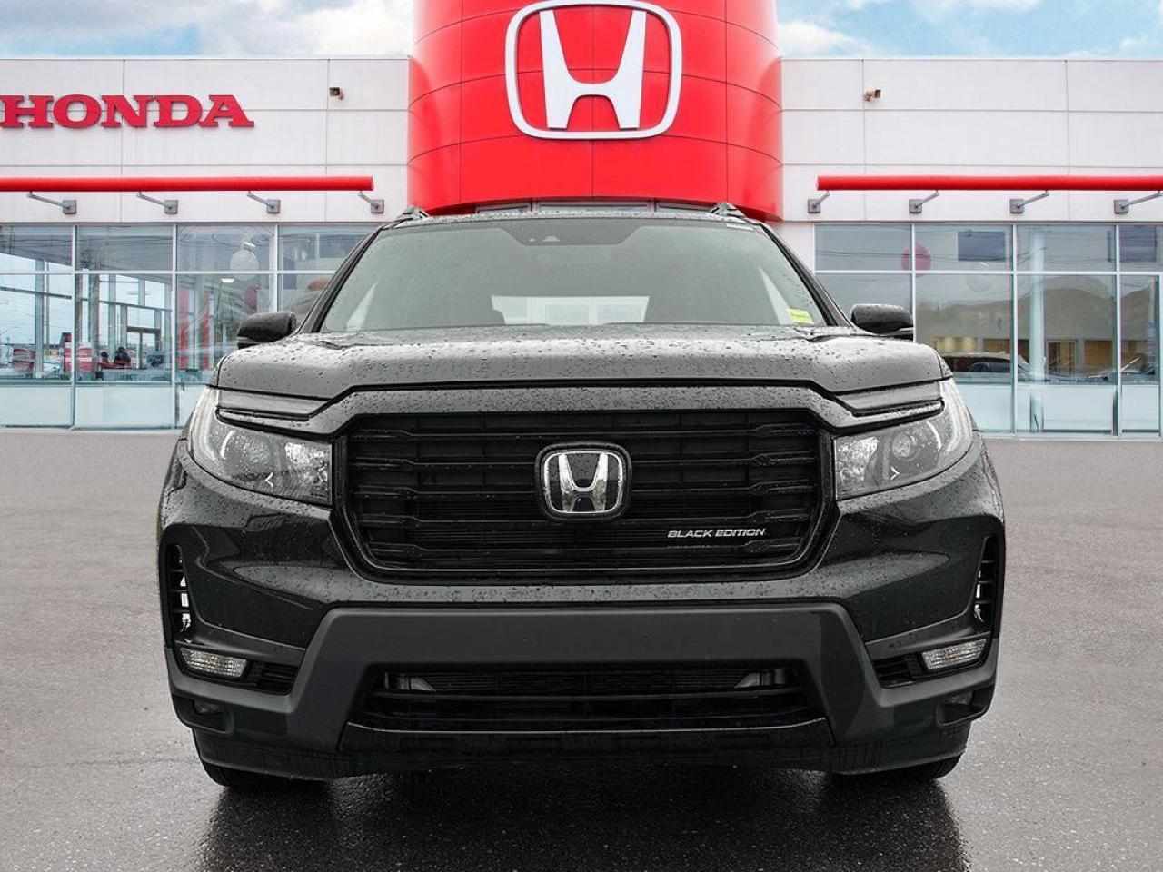 2024 Honda Passport Black Edition Photo