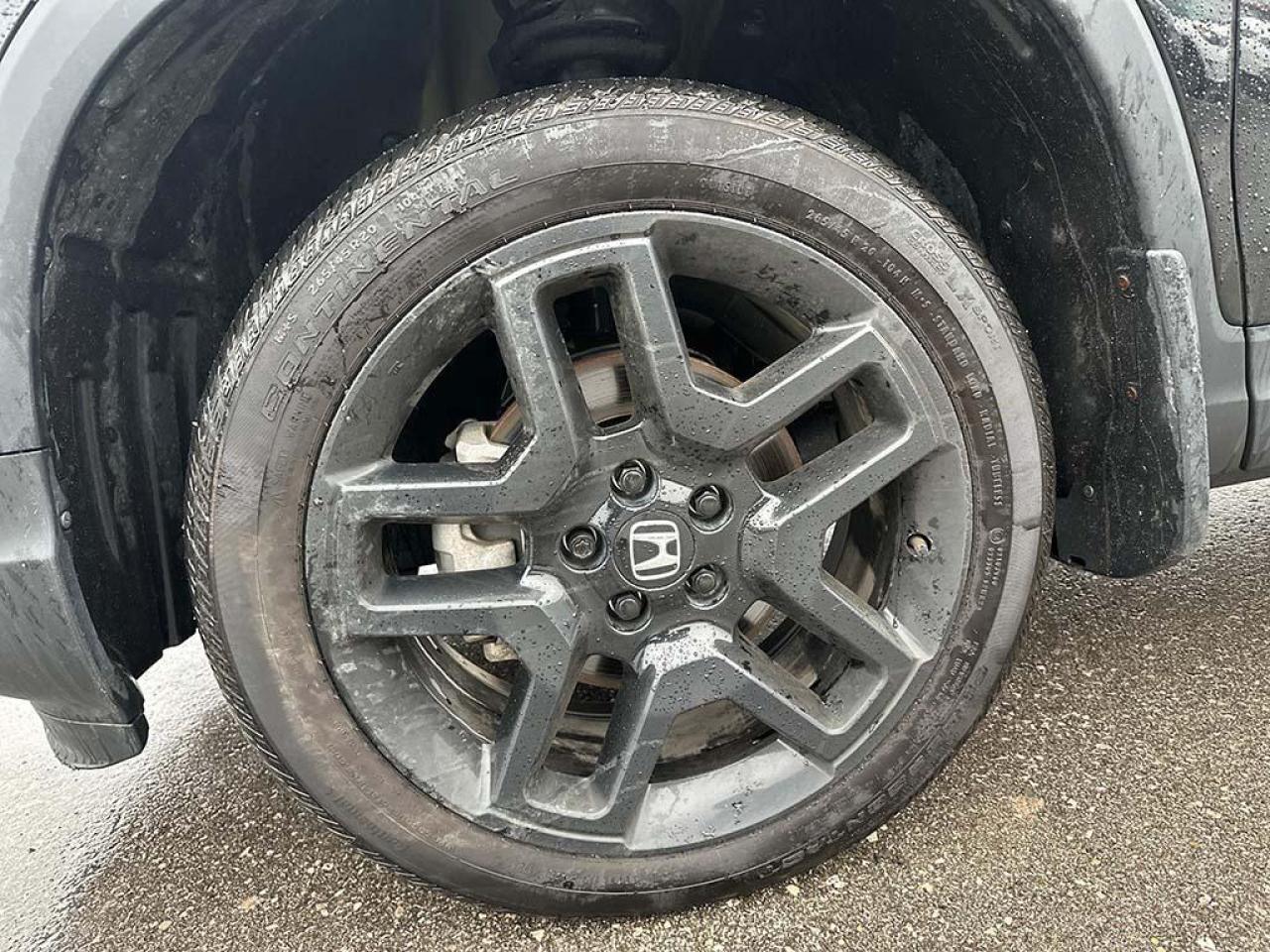 2024 Honda Passport Black Edition Photo