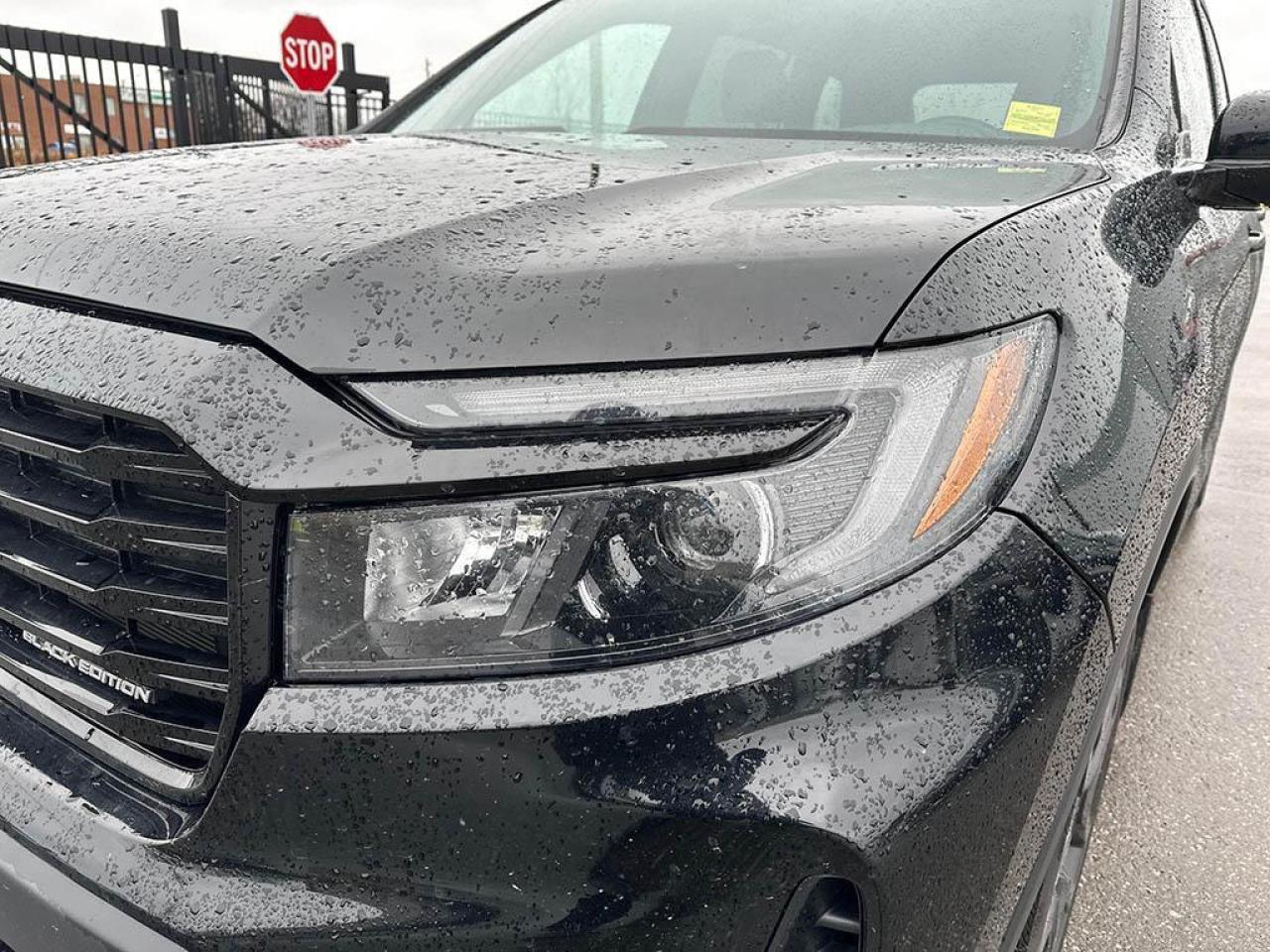 2024 Honda Passport Black Edition Photo