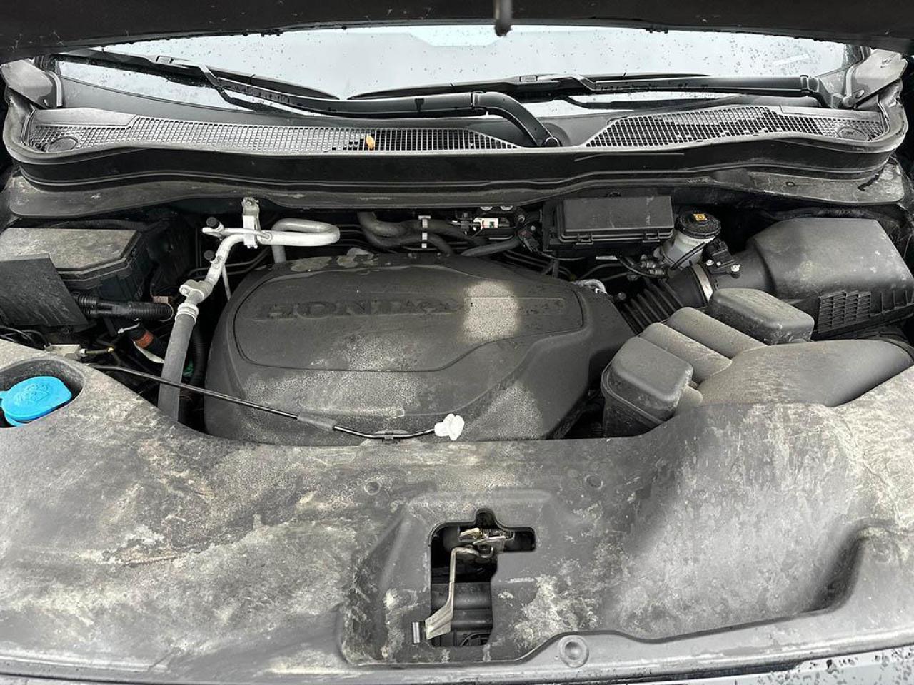 2024 Honda Passport Black Edition Photo