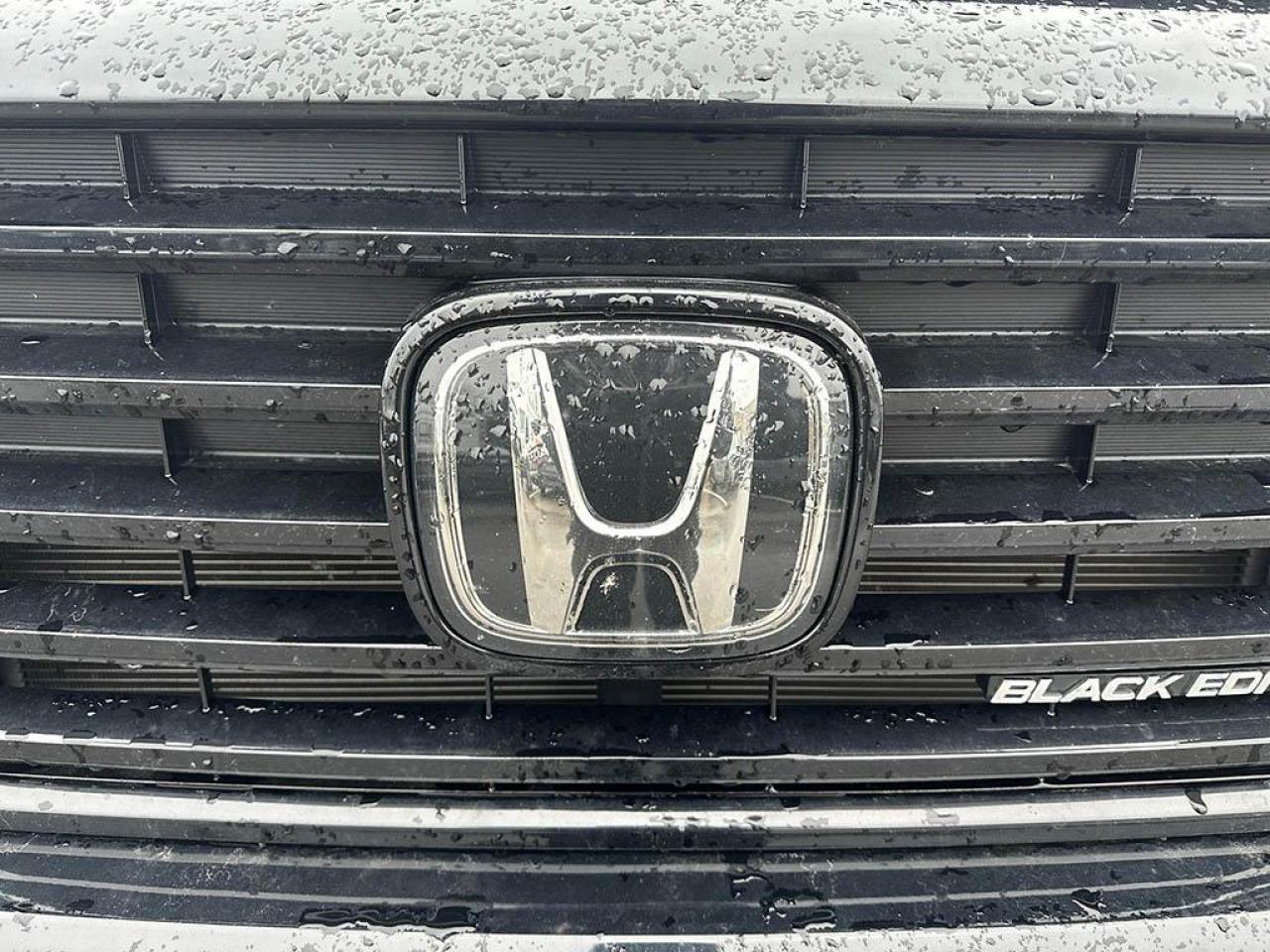 2024 Honda Passport Black Edition Photo