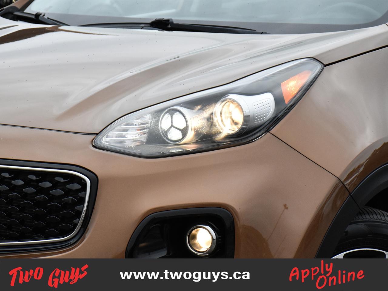 2019 Kia Sportage EX AWD   Leather   Great KMS   Clean CF Photo