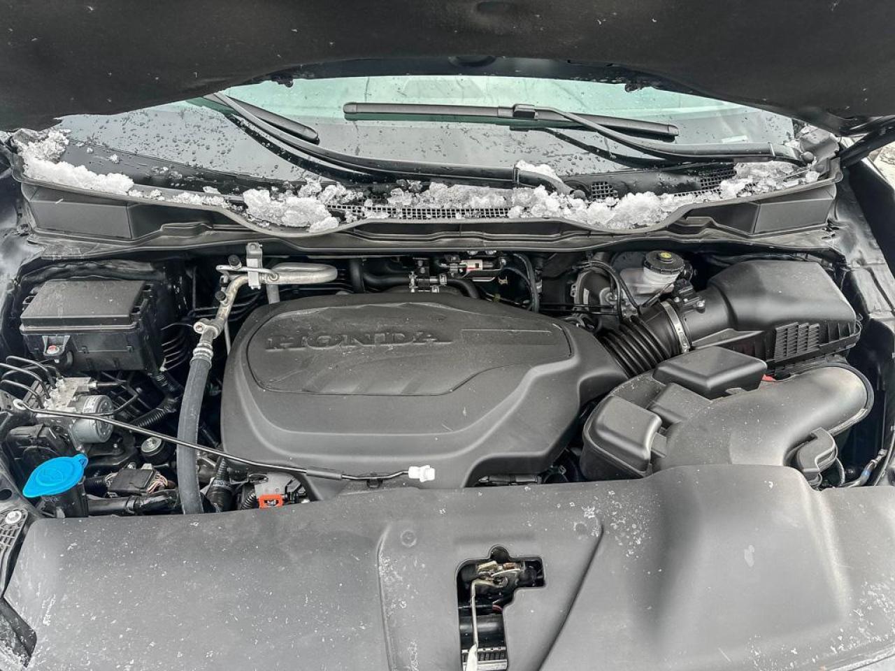 2025 Honda Odyssey SPORT Photo