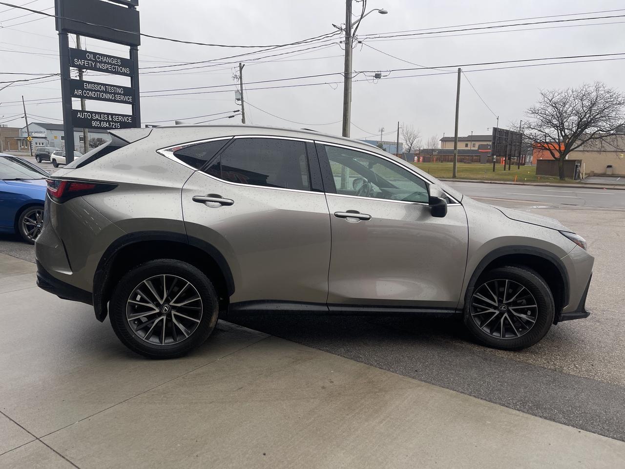 2023 Lexus NX NX 350h AWD Premium Sunroof Leather Back Up Cam Photo