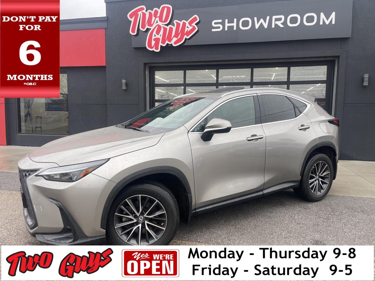 2023 Lexus NX NX 350h AWD Premium Sunroof Leather Back Up Cam Photo0
